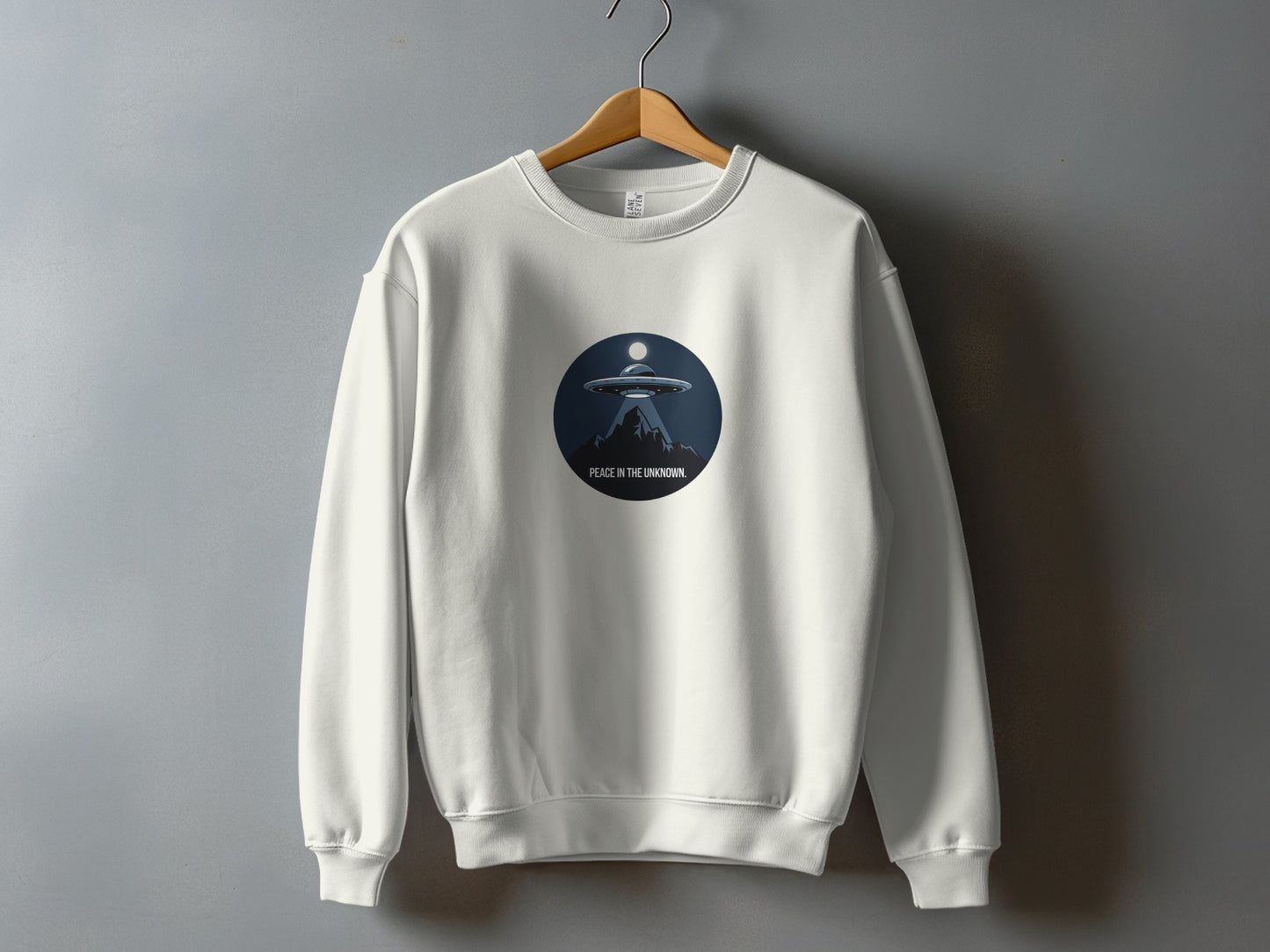 Embrace the Unknown UFO Graphic Sweatshirt product type