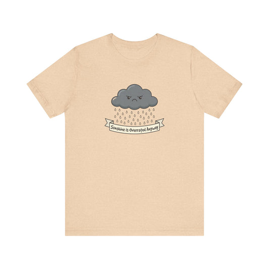 Gray cartoon cloud with a frowning face, raining, above text banner.
