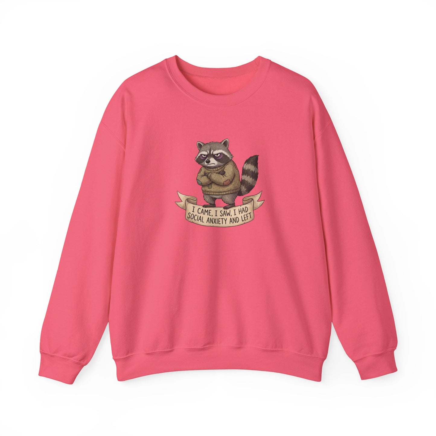 Raccoon wearing a sweater, with text "I came, I saw, I had social anxiety and left".